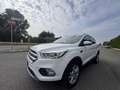 Ford Kuga 1.5 tdci Plus s&s 2wd 120cv - thumbnail 11