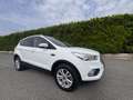 Ford Kuga 1.5 tdci Plus s&s 2wd 120cv - thumbnail 14