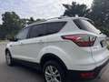 Ford Kuga 1.5 tdci Plus s&s 2wd 120cv - thumbnail 15
