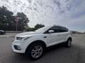 Ford Kuga 1.5 tdci Plus s&s 2wd 120cv - thumbnail 2