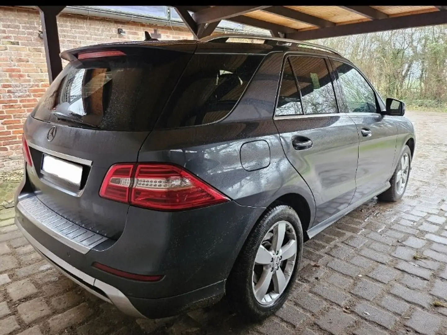 Mercedes-Benz 350 BlueTEC 4MATIC Edition 1, Vollausstattung Gri - 2