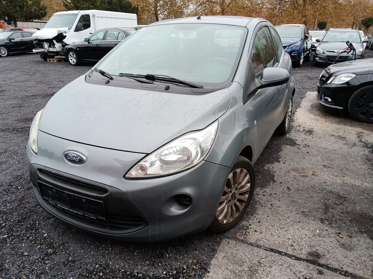 Ford Ka/Ka+ Trend Grau - 1