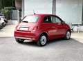 Fiat 500 1.0 Hybrid 70CV E6 Neo. - 2024 Rosso - thumbnail 5