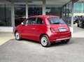 Fiat 500 1.0 Hybrid 70CV E6 Neo. - 2024 Rosso - thumbnail 4