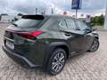 Lexus UX 300e EXECUTIVE PAKET** Grün - thumbnail 2