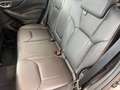 Subaru Forester Platinum Silber - thumbnail 16