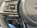 Subaru Forester Platinum Silber - thumbnail 18