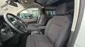 Toyota Proace L2*Crosscamp*7SITZER*KÜCHE*AHK*VORZELT* Weiß - thumbnail 14
