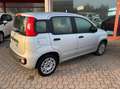 Fiat Panda Panda 1.2 Easy Argento - thumbnail 2