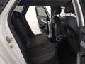 Audi A4 35 TDI advanced Sportsitze Virtual Cockpit Plus Weiß - thumbnail 15