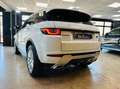 Land Rover Range Rover Evoque 2.0 td4 HSE Dynamic 150cv 5p auto Weiß - thumbnail 11
