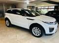Land Rover Range Rover Evoque 2.0 td4 HSE Dynamic 150cv 5p auto Weiß - thumbnail 6