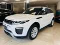 Land Rover Range Rover Evoque 2.0 td4 HSE Dynamic 150cv 5p auto Weiß - thumbnail 4