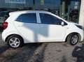 Kia Picanto Picanto III  1.0 mpi Active Bianco - thumbnail 6