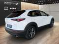 Mazda CX-30 CX-30 X186 AWD GT+/SO/PR/TE Weiß - thumbnail 5