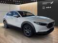 Mazda CX-30 CX-30 X186 AWD GT+/SO/PR/TE Weiß - thumbnail 3