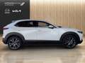 Mazda CX-30 CX-30 X186 AWD GT+/SO/PR/TE Weiß - thumbnail 4