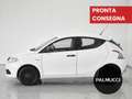 Lancia Ypsilon Ypsilon 1.2 69 CV 5 porte Elefantino Blu - thumbnail 4