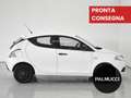 Lancia Ypsilon Ypsilon 1.2 69 CV 5 porte Elefantino Blu - thumbnail 5