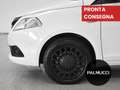 Lancia Ypsilon Ypsilon 1.2 69 CV 5 porte Elefantino Blu - thumbnail 6