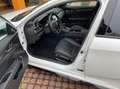 Honda Civic Civic 1,5 VTEC Turbo Sport Plus Weiß - thumbnail 5