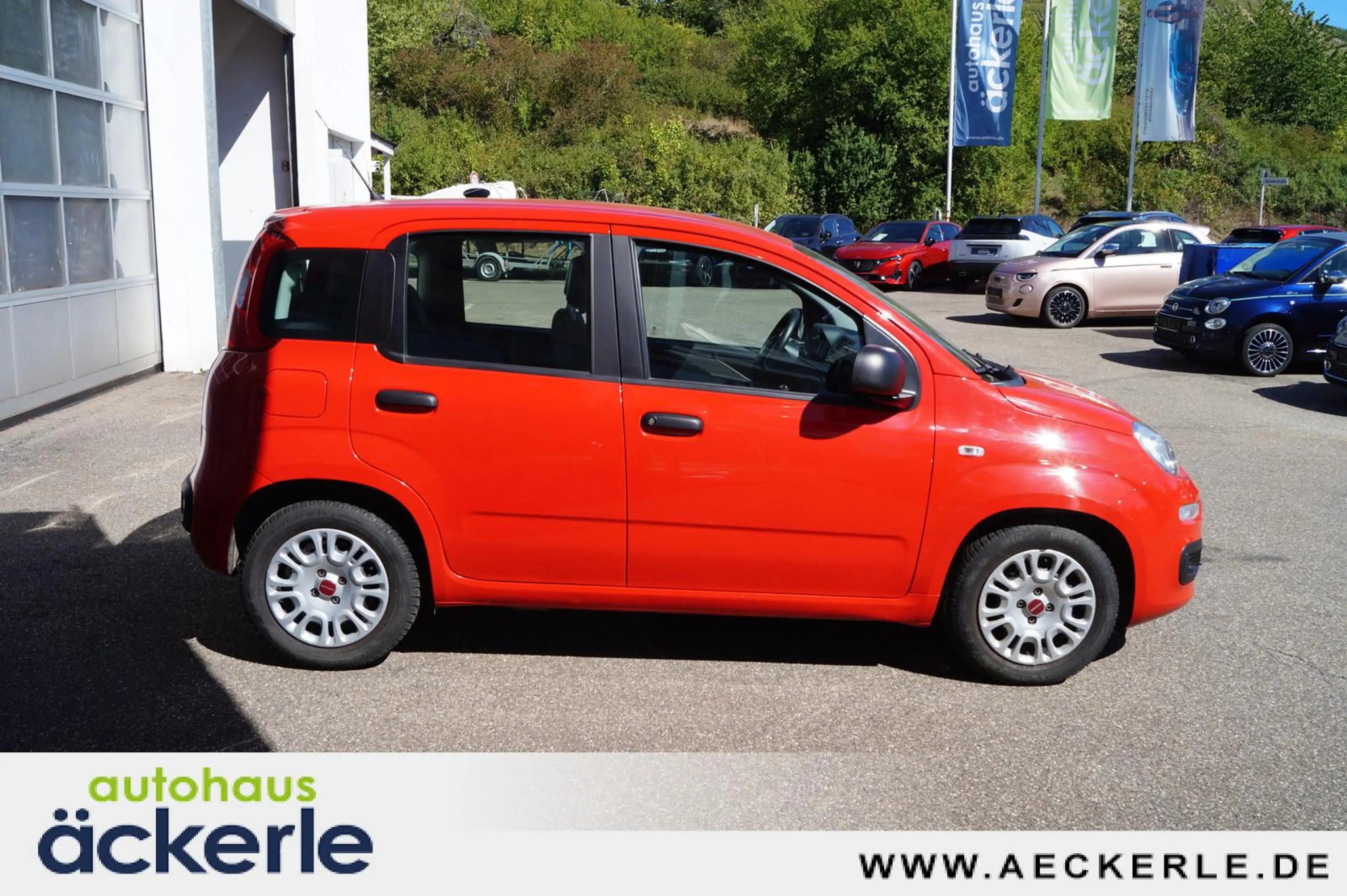 Fiat Panda Base I 1. Hand I Klima — photo 7