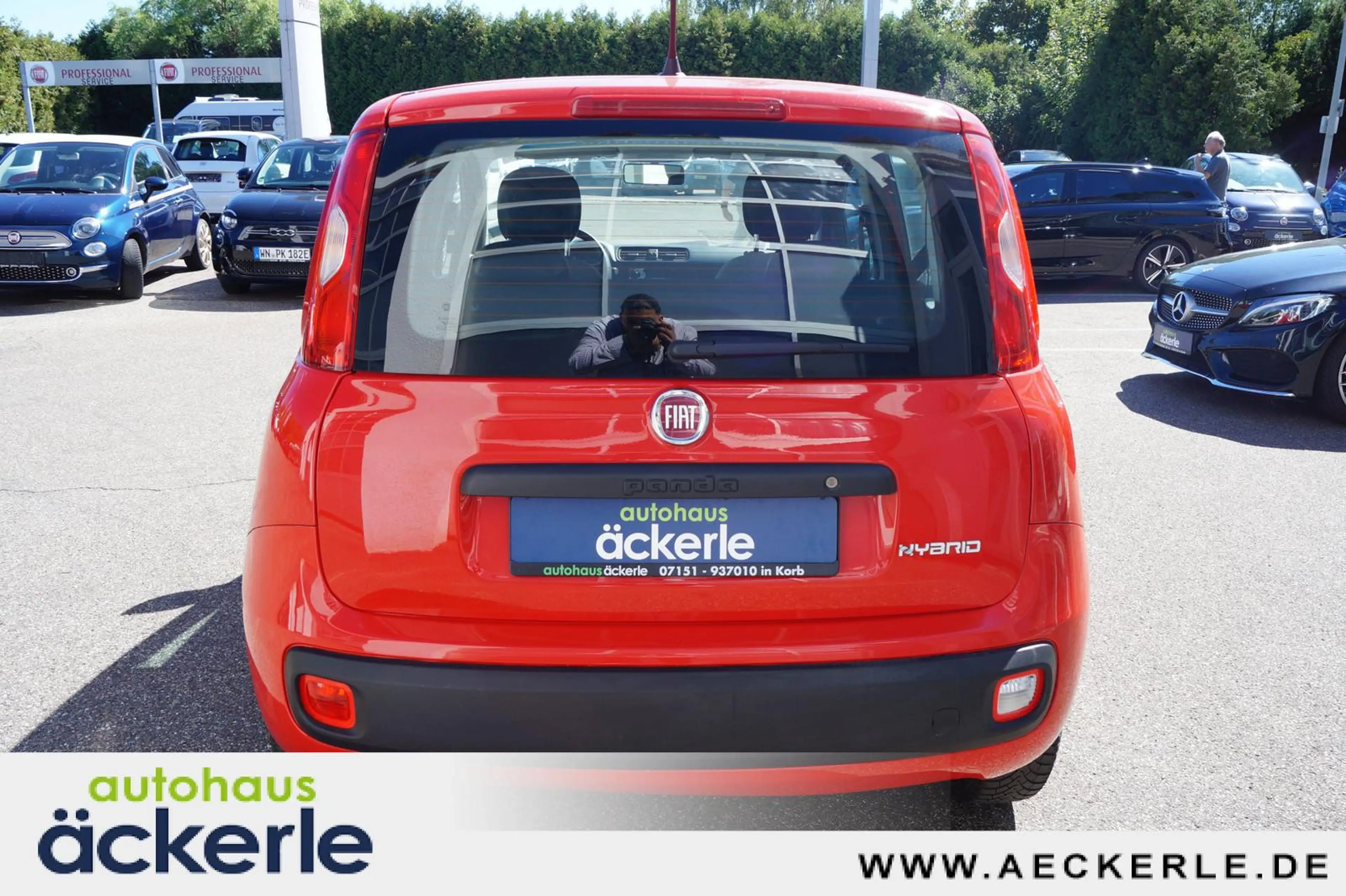 Fiat Panda Base I 1. Hand I Klima — photo 4