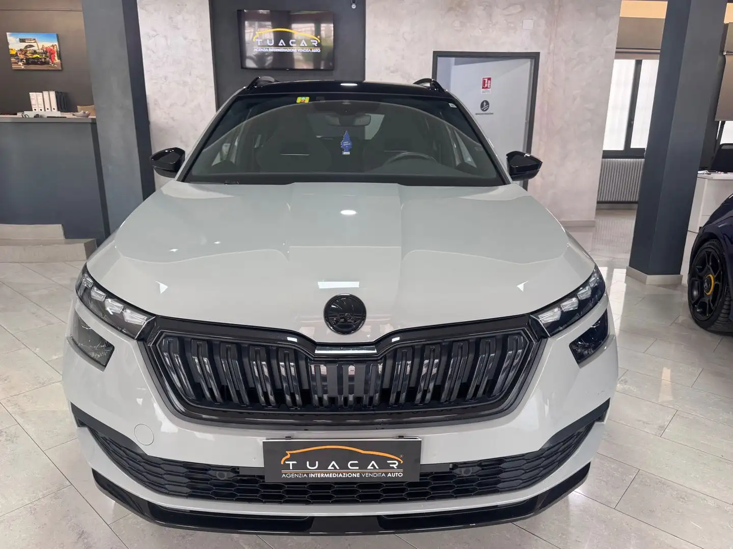 Skoda Kamiq Monte Carlo 1.0 G-TEC Szürke - 2