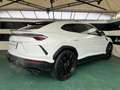 Lamborghini Urus 4.0 Blanc - thumbnail 6