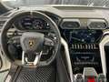 Lamborghini Urus 4.0 Blanc - thumbnail 10