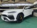 Lamborghini Urus 4.0 Blanc - thumbnail 3