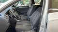 Volkswagen T-Roc T-Roc  Business 110cv Bianco - thumbnail 8