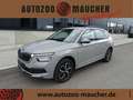 Skoda Kamiq 1.0 TSI Drive 125 AHK/SHZ/PDC/RFK Grey - thumbnail 1
