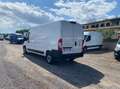 Fiat Ducato Ducato 290 35  LH2 2.2 mjt3 160cv Weiß - thumbnail 5