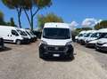 Fiat Ducato Ducato 290 35  LH2 2.2 mjt3 160cv Weiß - thumbnail 19