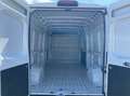Fiat Ducato Ducato 290 35  LH2 2.2 mjt3 160cv Weiß - thumbnail 15