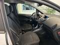 Ford B-Max B-Max 1.5 tdci Business 75cv E6 Bianco - thumbnail 7