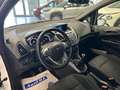 Ford B-Max B-Max 1.5 tdci Business 75cv E6 Bianco - thumbnail 11