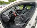 Porsche Cayenne II S Hybrid PHEV Aut. Schwarz - thumbnail 11