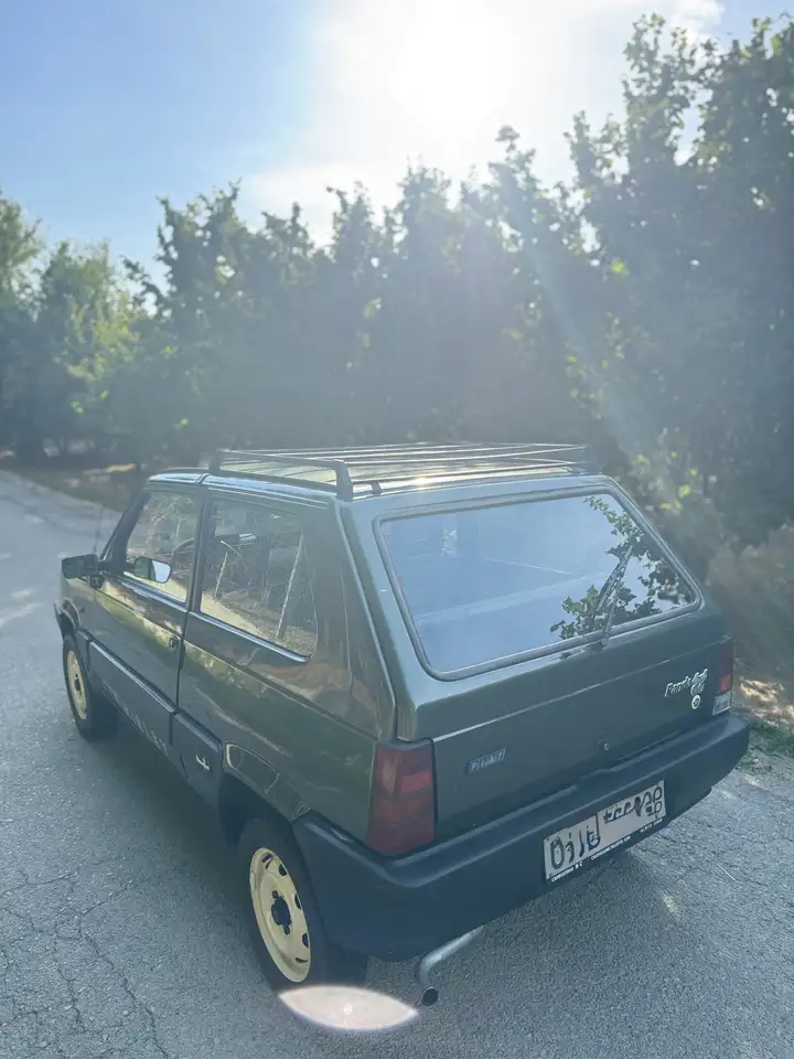 Fiat Panda 1.0 Sisley 4x4, foto 6
