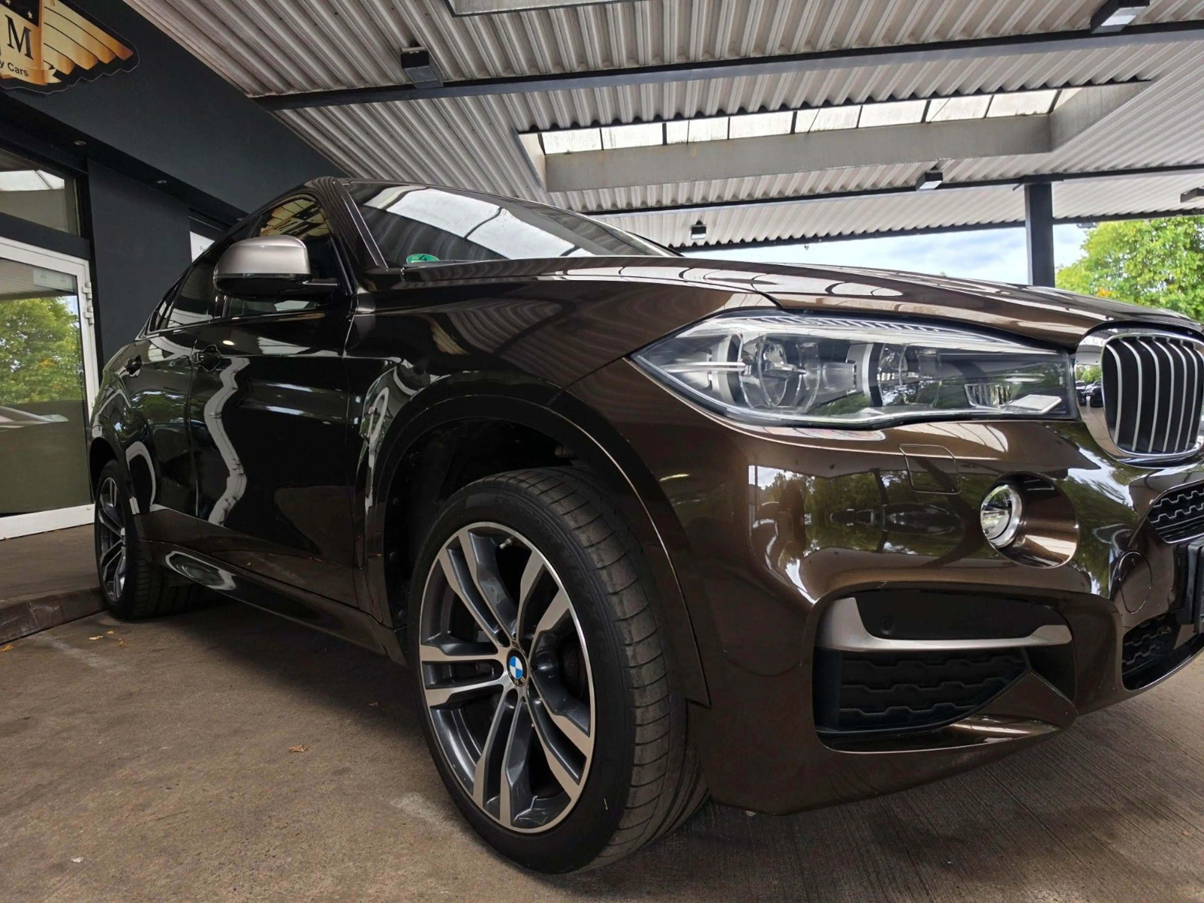 BMW X6 M50d Individual Head-Up/Soft-Close/LEDER/20" — photo 9