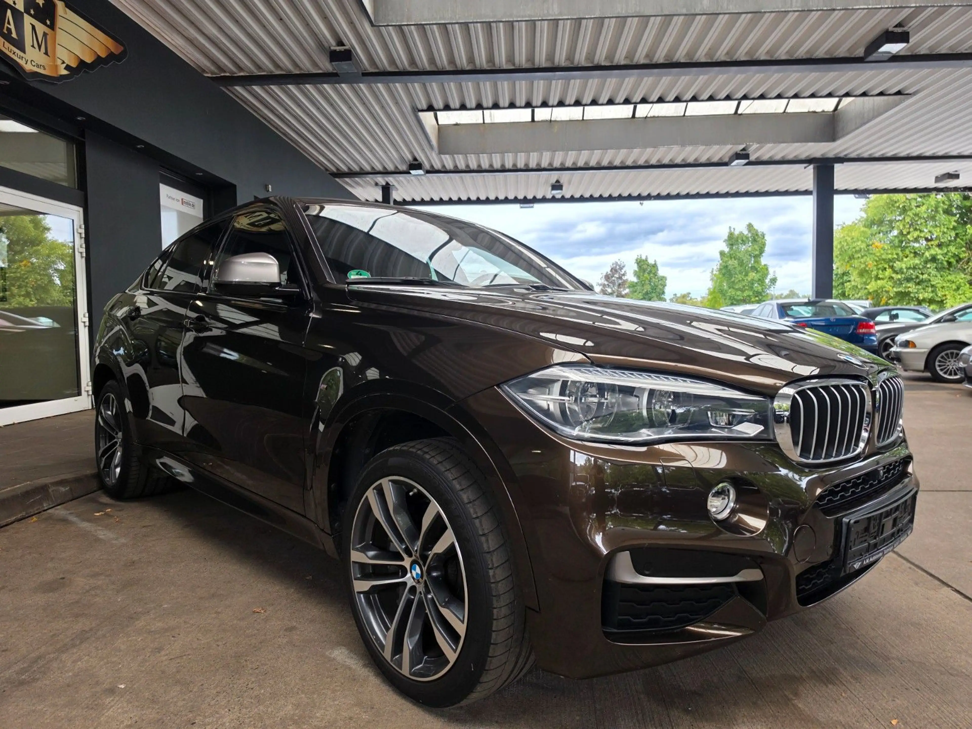 BMW X6 M50d Individual Head-Up/Soft-Close/LEDER/20" — photo 8