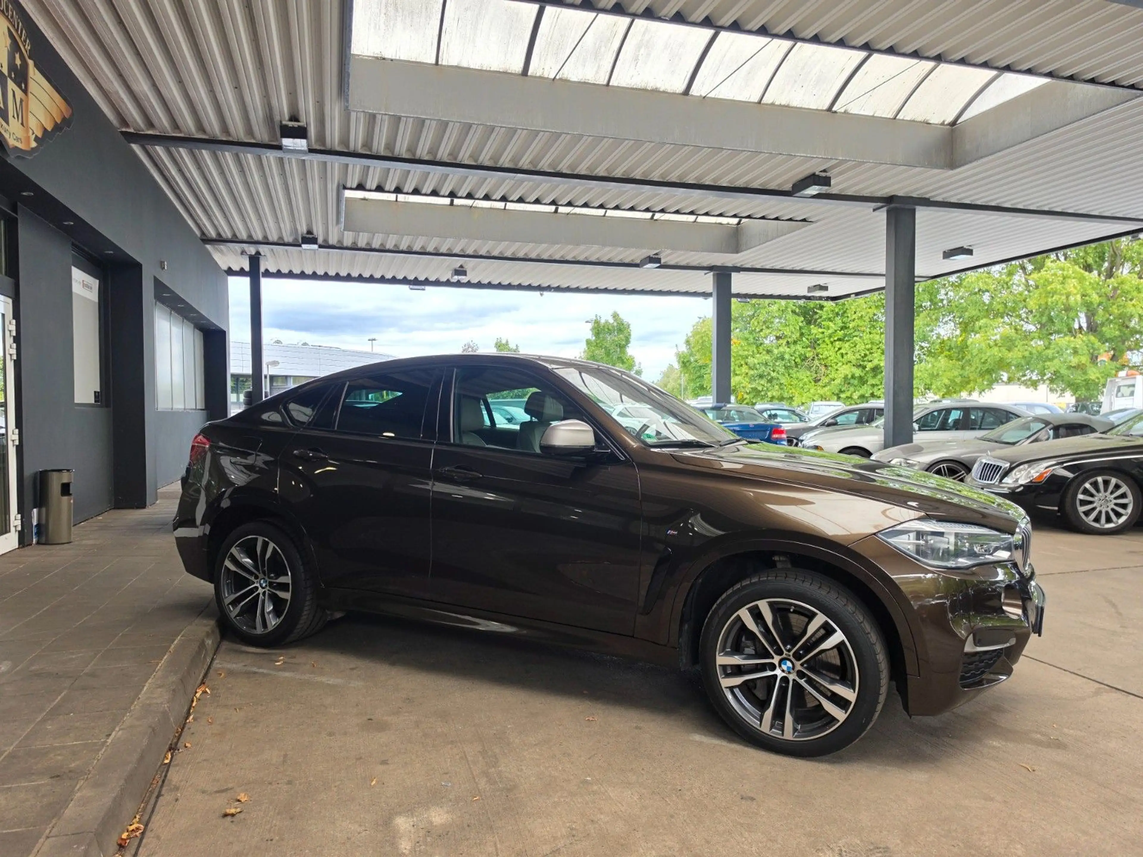 BMW X6 M50d Individual Head-Up/Soft-Close/LEDER/20" — photo 11