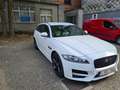 Jaguar XF XF 25d AWD Sportbrake  Aut.R-Sport Blanc - thumbnail 3