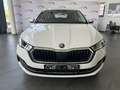 Skoda Octavia Combi 2,0 TDI Style DSG, ACC, Head Up, Fahrzeug... Blanc - thumbnail 2