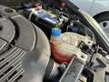 Fiat Punto Evo 5p 1.3 mjt Dynamic s&s 75cv dpf - thumbnail 9