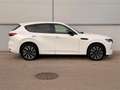 Mazda CX-60 3.3L AWD HOMURA COSO DRAS Aut. Weiß - thumbnail 4