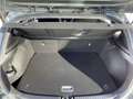 Kia Ceed / cee'd ceed 1,0 T-GDI GPF Silber plus Paket P2  Style* Grau - thumbnail 17