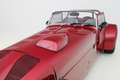 Donkervoort S8 2.0 Ford Cycle wings - Service done - Momo steerin Rot - thumbnail 33