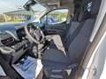 Toyota Proace City 1.5 L1 3 SITZE+DAB+KLIMA+TEMPOMAT - thumbnail 10